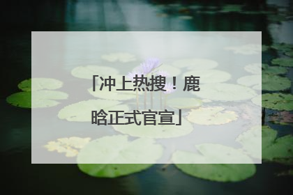 冲上热搜！鹿晗正式官宣