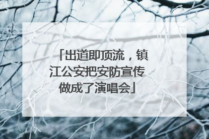 出道即顶流，镇江公安把安防宣传做成了演唱会