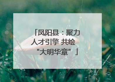 凤阳县：聚力人才引擎 共绘“大明华章”