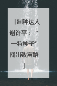 制种达人谢许平：“一粒种子”闯出致富路