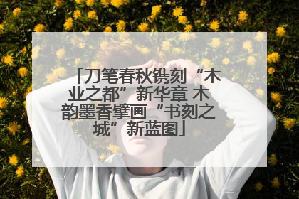 刀笔春秋镌刻“木业之都”新华章 木韵墨香擘画“书刻之城”新蓝图