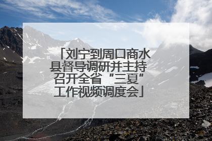 刘宁到周口商水县督导调研并主持召开全省“三夏”工作视频调度会