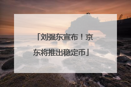 刘强东宣布！京东将推出稳定币