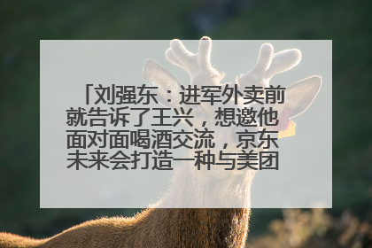 刘强东：进军外卖前就告诉了王兴，想邀他面对面喝酒交流，京东未来会打造一种与美团不同的商业模式