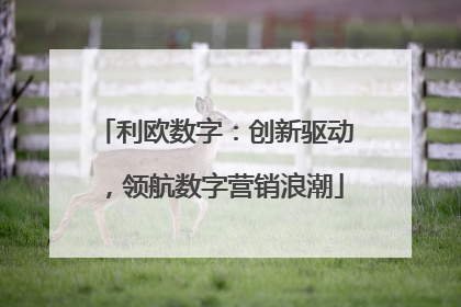 利欧数字：创新驱动，领航数字营销浪潮