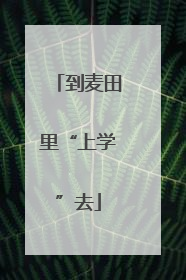 到麦田里“上学”去