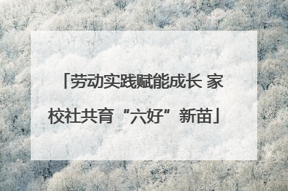 劳动实践赋能成长 家校社共育“六好”新苗