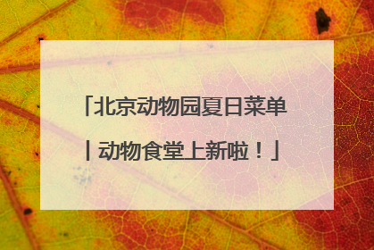 北京动物园夏日菜单丨动物食堂上新啦！