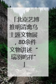 北京艺博推明清禽鸟主题文物展，80余件文物讲述“瑞羽鸣祥”
