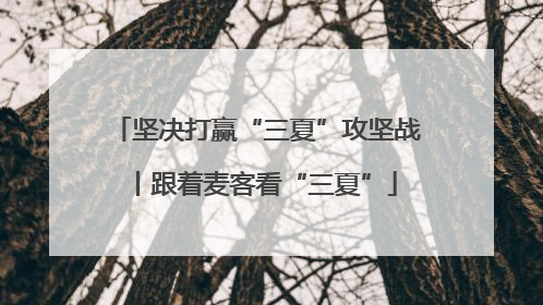 坚决打赢“三夏”攻坚战丨跟着麦客看“三夏”