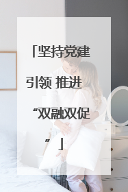 坚持党建引领 推进“双融双促”