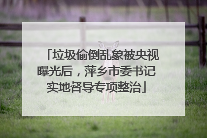 垃圾偷倒乱象被央视曝光后，萍乡市委书记实地督导专项整治