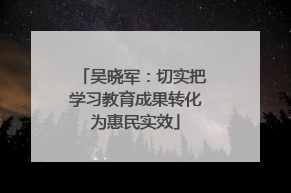 吴晓军：切实把学习教育成果转化为惠民实效