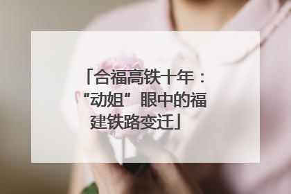 合福高铁十年：“动姐”眼中的福建铁路变迁
