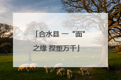 合水县 一“面”之缘 捏塑万千