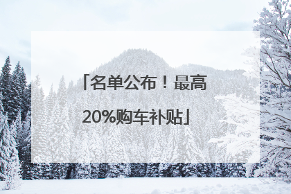名单公布！最高20%购车补贴