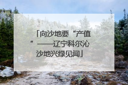 向沙地要“产值”——辽宁科尔沁沙地兴绿见闻