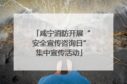 咸宁消防开展“安全宣传咨询日”集中宣传活动