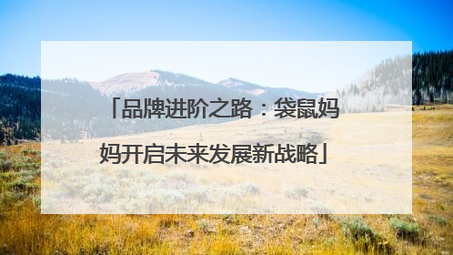 品牌进阶之路：袋鼠妈妈开启未来发展新战略