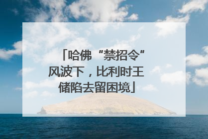 哈佛“禁招令”风波下，比利时王储陷去留困境