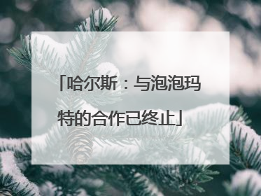 哈尔斯：与泡泡玛特的合作已终止