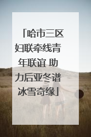 哈市三区妇联牵线青年联谊 助力后亚冬谱冰雪奇缘