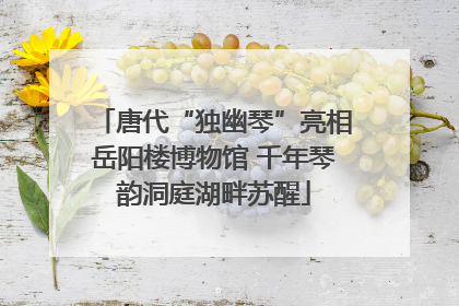 唐代“独幽琴”亮相岳阳楼博物馆 千年琴韵洞庭湖畔苏醒