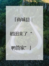 商城县：稻田来了“鸭管家”