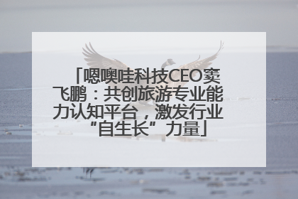 嗯噢哇科技CEO窦飞鹏：共创旅游专业能力认知平台，激发行业“自生长”力量