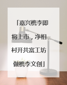嘉兴槜李即将上市，净相村开共富工坊做槜李文创