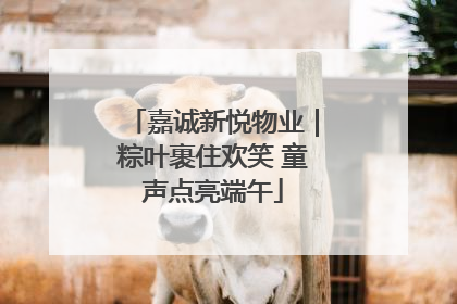 嘉诚新悦物业｜粽叶裹住欢笑 童声点亮端午