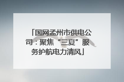 国网孟州市供电公司：聚焦“三夏”服务护航电力清风
