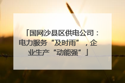 国网沙县区供电公司：电力服务“及时雨”，企业生产“动能强”