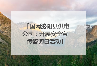 国网泌阳县供电公司：开展安全宣传咨询日活动