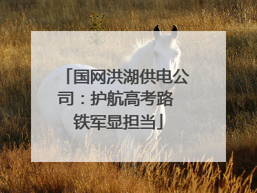 国网洪湖供电公司：护航高考路 铁军显担当