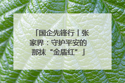 国企先锋行丨张家界：守护平安的那抹“金盾红”