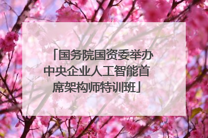 国务院国资委举办中央企业人工智能首席架构师特训班