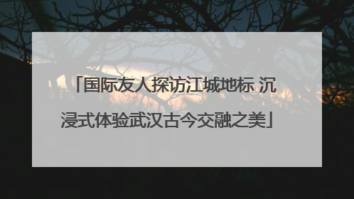 国际友人探访江城地标 沉浸式体验武汉古今交融之美