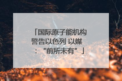 国际原子能机构警告以色列 以媒：“前所未有”