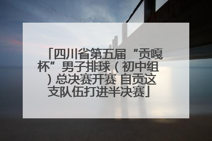四川省第五届“贡嘎杯”男子排球（初中组）总决赛开赛 自贡这支队伍打进半决赛