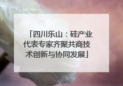 四川乐山：硅产业代表专家齐聚共商技术创新与协同发展