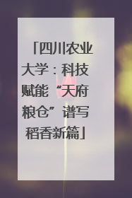 四川农业大学：科技赋能“天府粮仓”谱写稻香新篇