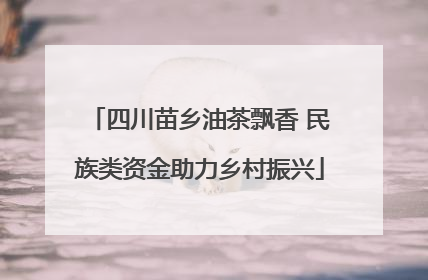 四川苗乡油茶飘香 民族类资金助力乡村振兴