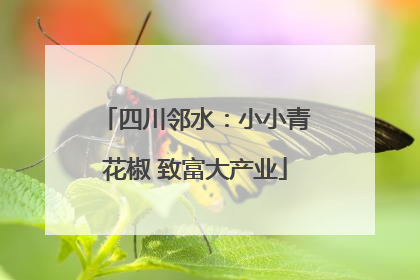 四川邻水：小小青花椒 致富大产业