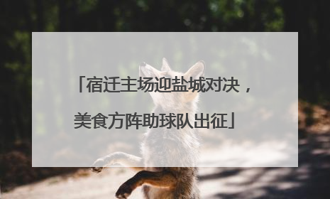 宿迁主场迎盐城对决，美食方阵助球队出征