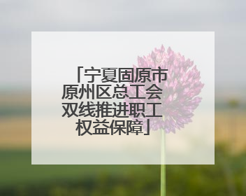 宁夏固原市原州区总工会双线推进职工权益保障