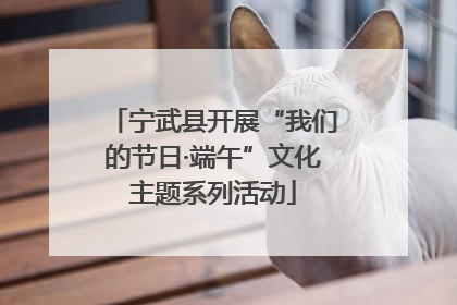 宁武县开展“我们的节日·端午”文化主题系列活动