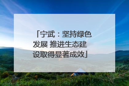 宁武：坚持绿色发展 推进生态建设取得显著成效