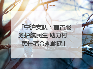 宁沪支队：前置服务护航民生 助力村民住宅合规翻建