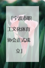 宁波市职工文化体育协会正式成立